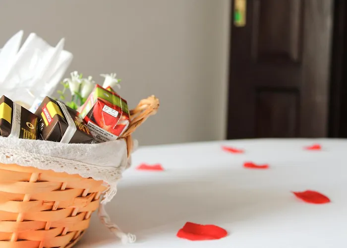 Pensionat Urban Aveiro